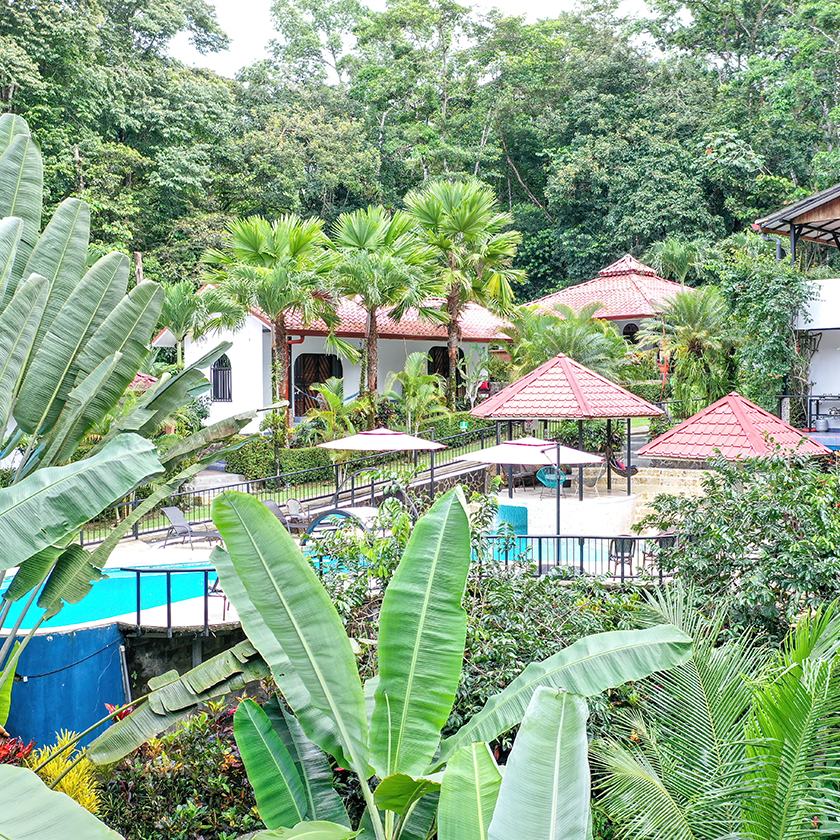 Jungle Resort
